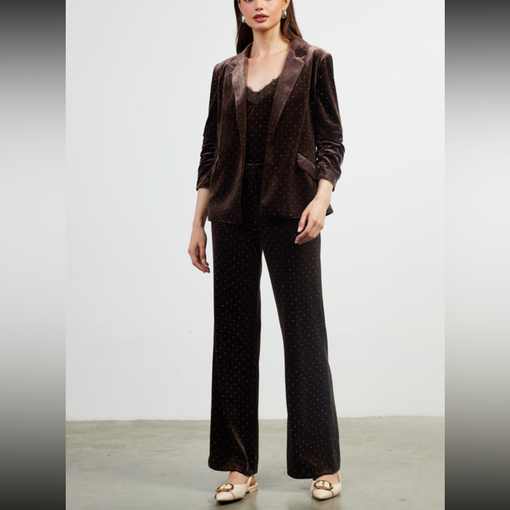 Skies Are Blue Brown Rhinestone Velvet Blazer & Pant Set